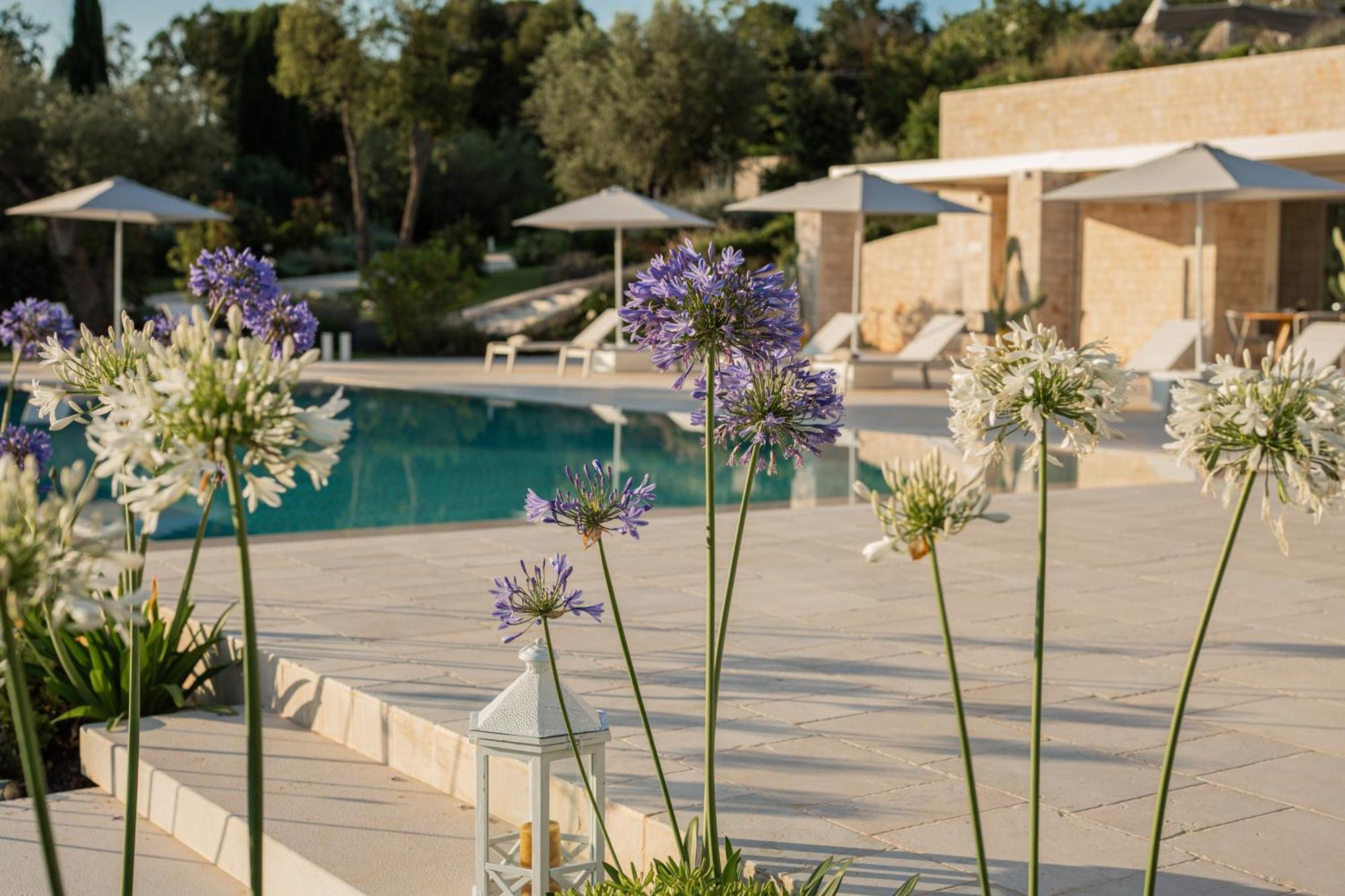 Bed and Breakfast Essenza Relais Contemporaneo Чистернино Экстерьер фото